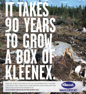 Greenpeace USA Kleercut poster